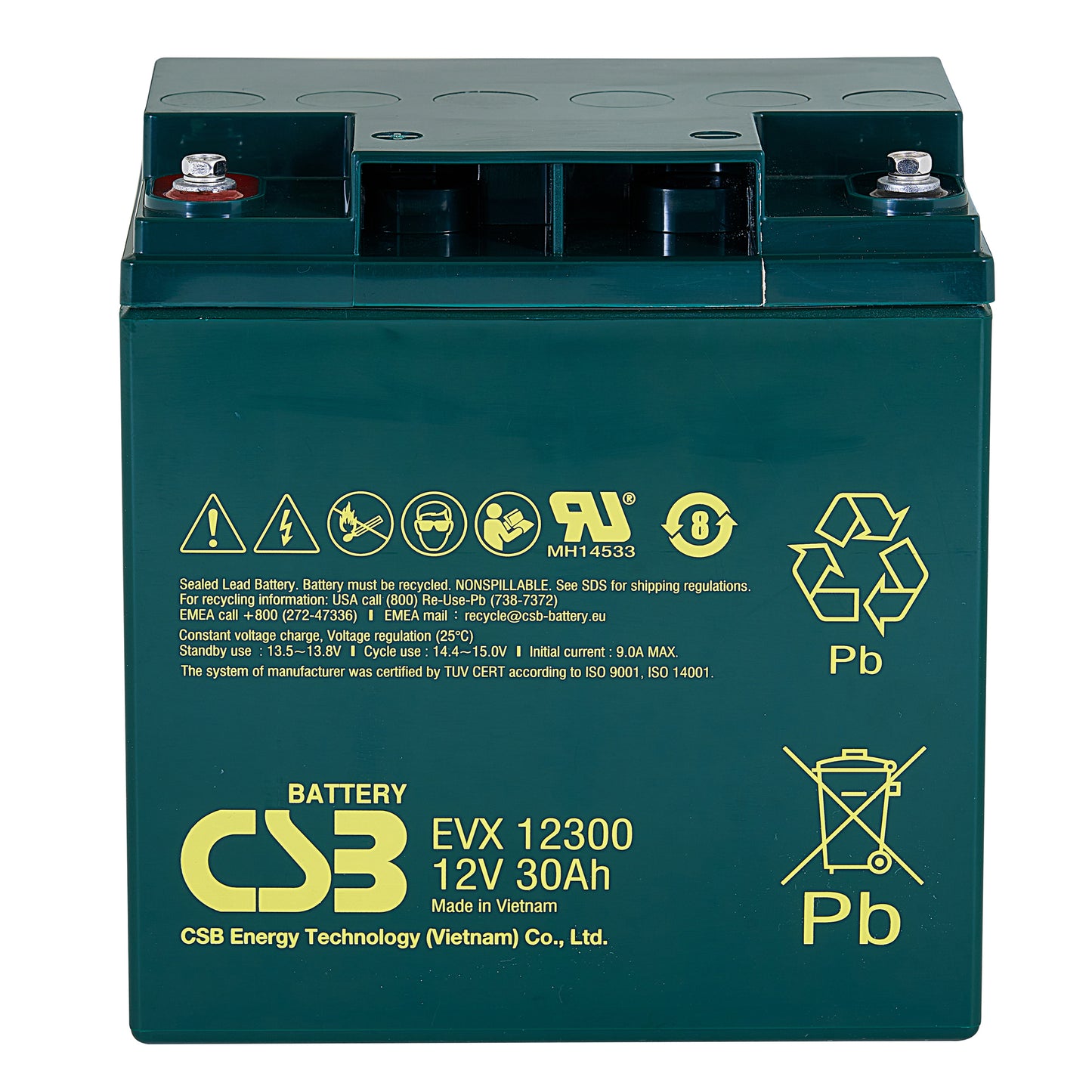 EVX12300 AGM Battery 12V 30Ah