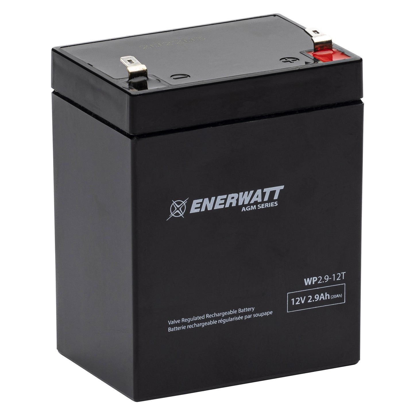 WP2.9-12T AGM Battery 12V 2.9Ah