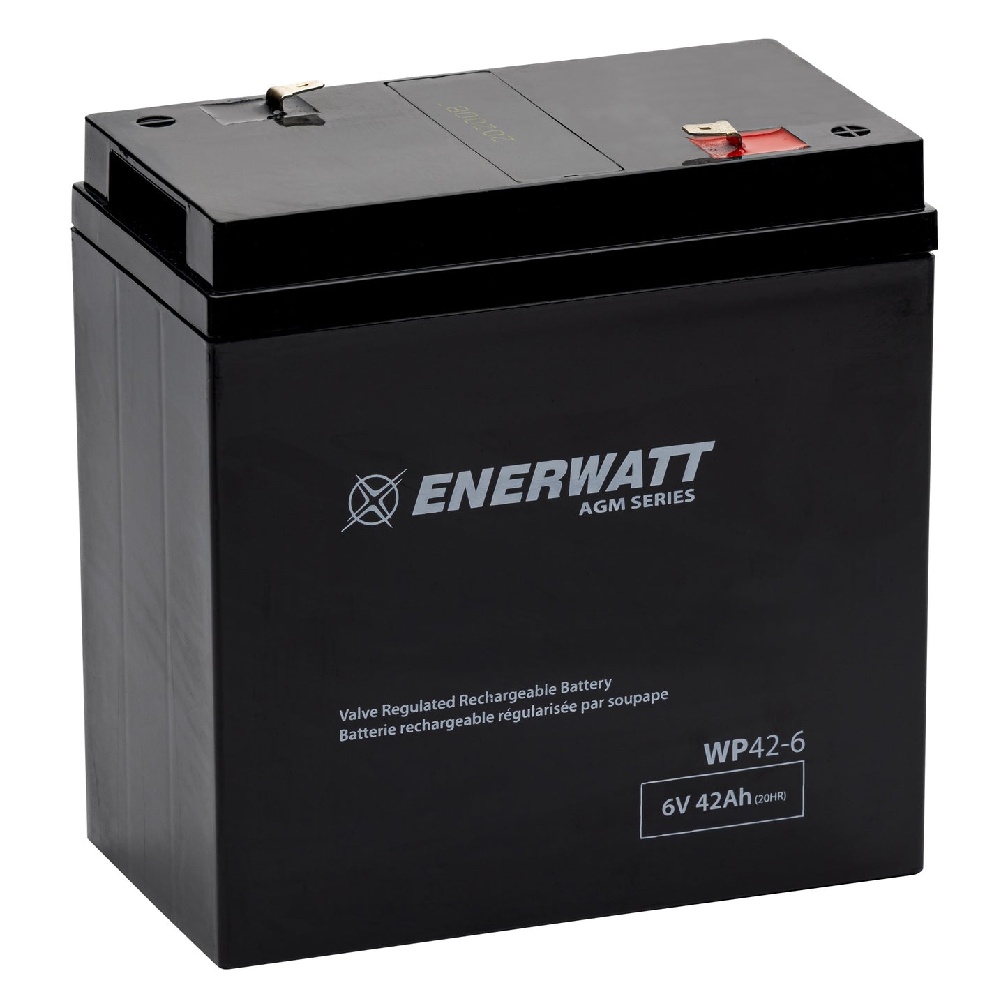 WP42-6 AGM Battery 6V 42Ah