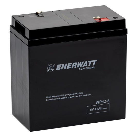 WP42-6 AGM Battery 6V 42Ah