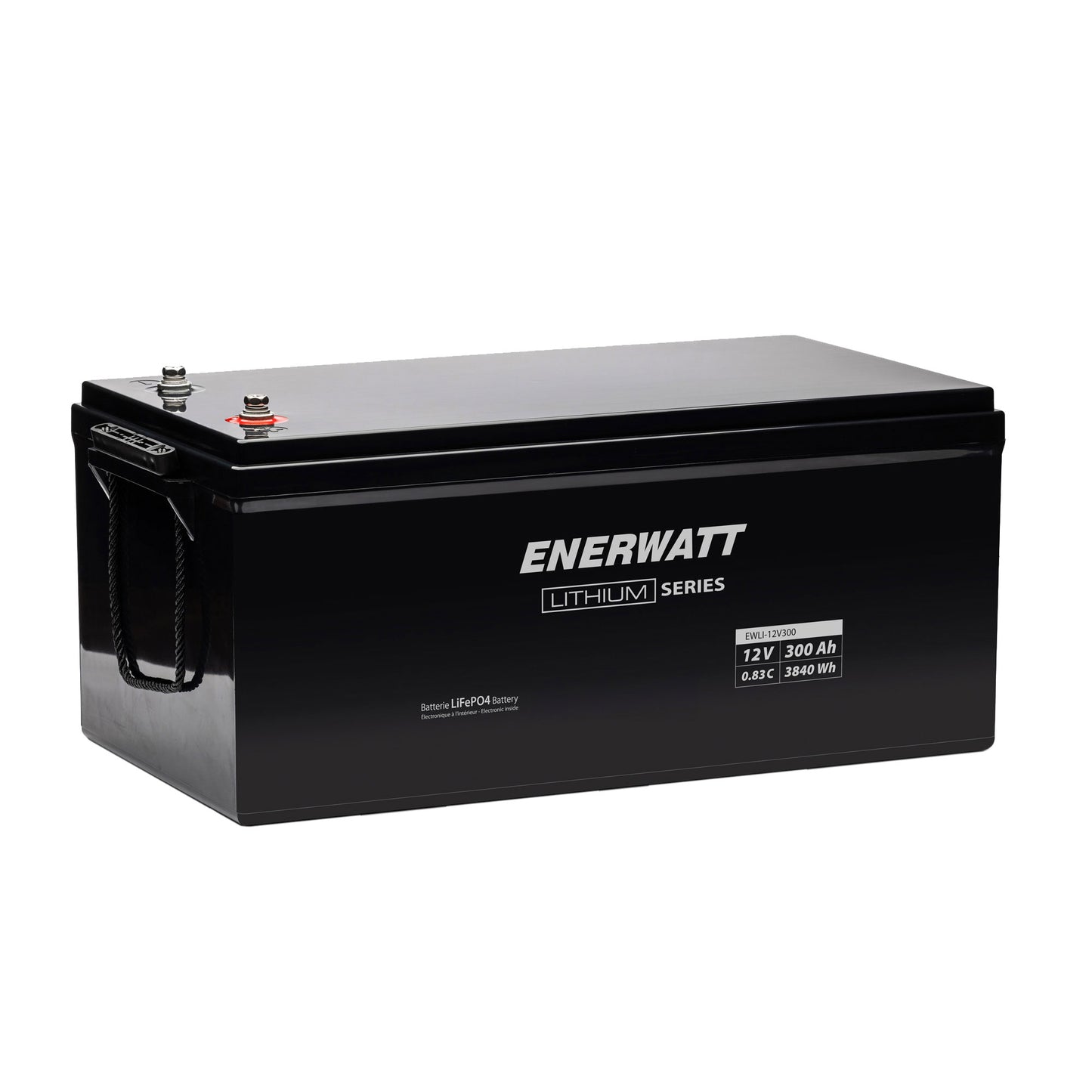 EWLI-12V300 LiFePO4 Battery GR 8D 12V 300Ah 0.83C