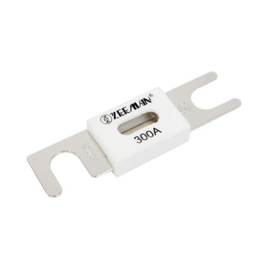 CIP142300000 Fuse ANL 300A 80V - Call for Price