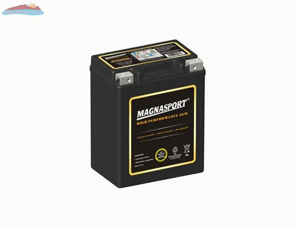 Magnacharge MTX14AHL-BS Magnacharge