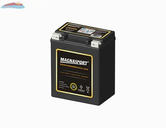 Magnacharge MTX14AHL-BS Magnacharge